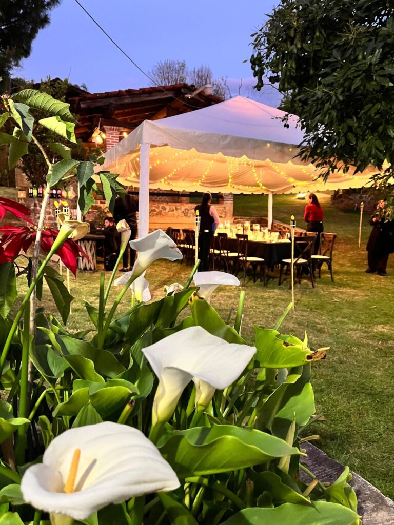 Evento en el jardín de Los Manzanos